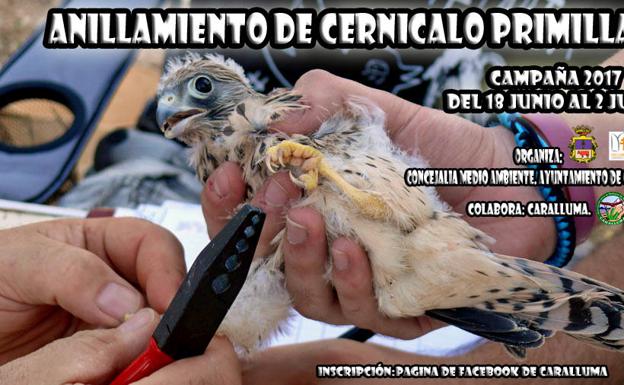 Cartel anunciador. /SDC