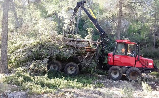 Trabajos en la zona de las sierras de Mula. /CARM