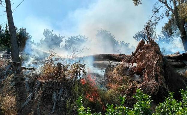Imagen del incendio de Alhama de este jueves. /CEIS