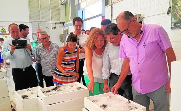 Francisco Jódar y Visitación Martínez, durante la visita a la lonja de San Pedro, ayer.