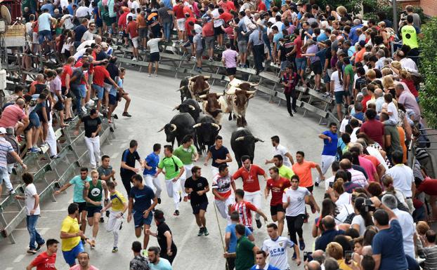 Quinto encierro de Calasparra.
