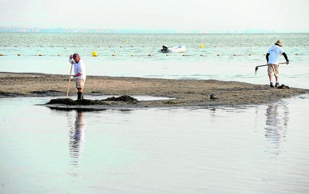 Dos operarios de la brigada de limpieza del Mar Menor, en agosto en Los Urrutias.