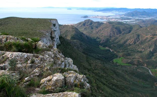 El corredor verde de la rambla, desde las alturas de Peñas Blancas.