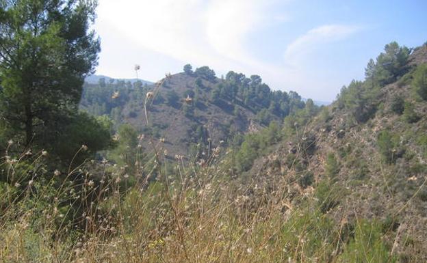 Panorámica del barranco de los Cañones./