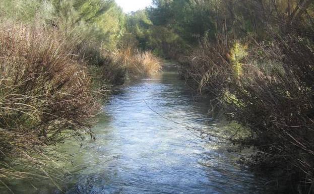 Las aguas del río Luchena.