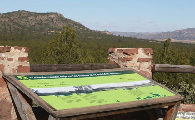 Laderas tapizadas con pinares en el Coto Las Maravillas, desde un mirador del Parque Ecológico de Cehegín./