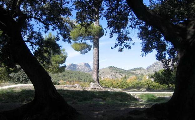 La Peñarrubia, al fondo, desde El Copo.