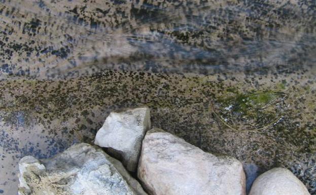 Detalle del paso del agua por una piedra.