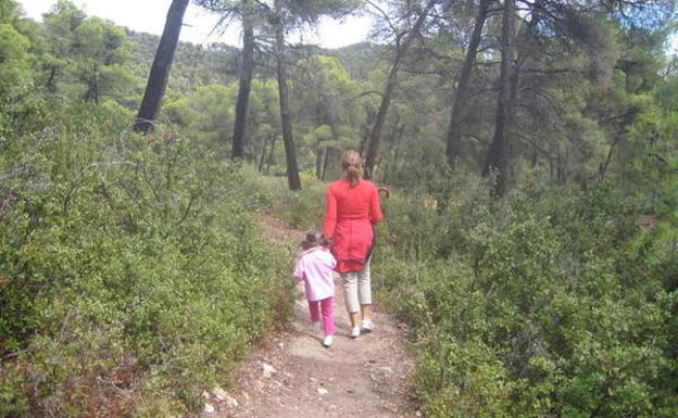 Caminando por la Senda del Dinosaurio.