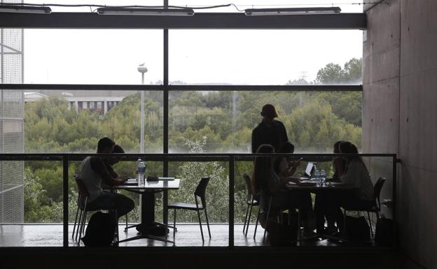 Alumnos de la Facultad de Economía, en el Campus de Espinardo, estudiando en la cafetería./M. Bueso