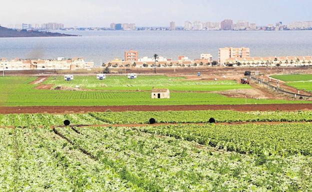 Cultivos en el entorno de Los Nietos, con el Mar Menor de fondo./Pablo Sánchez / AGM