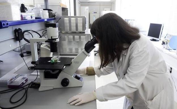 Una investigadora en la UMU, en una imagen de archivo. /LV