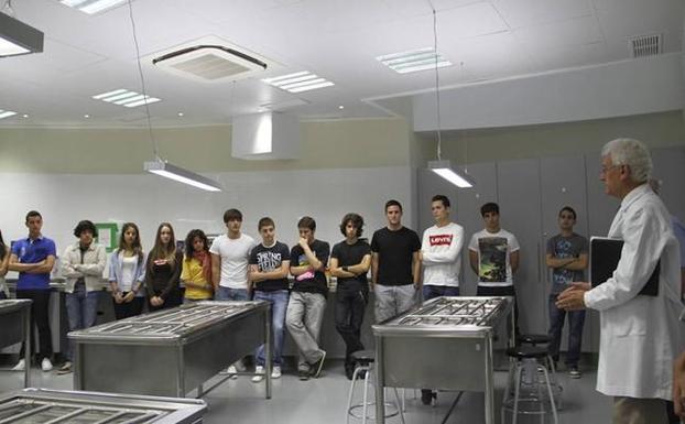 Alumnos del grado de Medicina de la UCAM. /LV