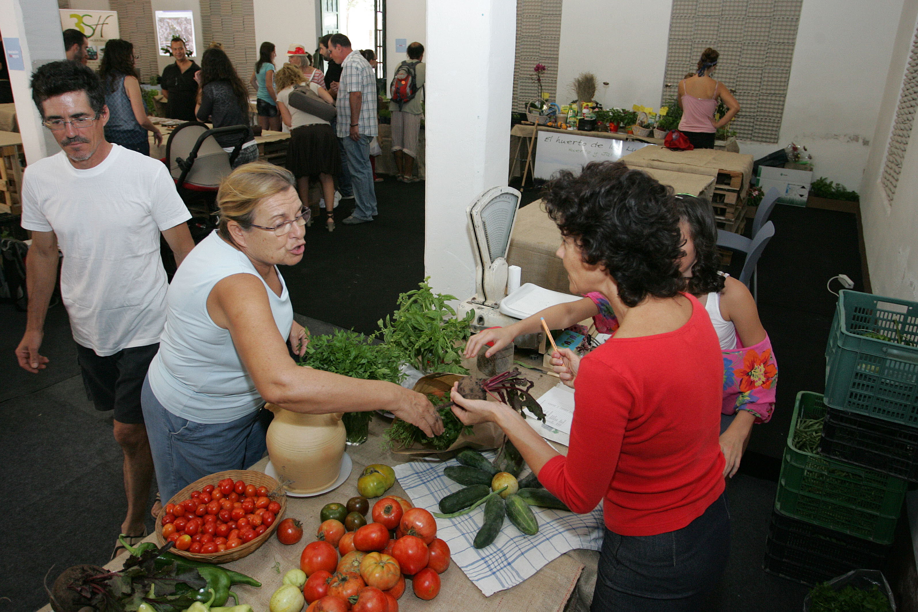 I Mercado de Microproductores Agrícolas. :: Fran Manzanera/AGM/