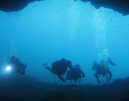 Cuatro buceadores pasan por una de las cuevas de las aguas de Cabo Tiñoso. / A. R./