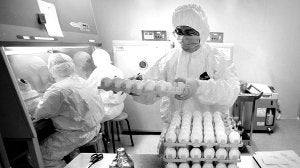 . Científicos experimentan con huevos en el área de inoculación del laboratorio. /REUTERS/