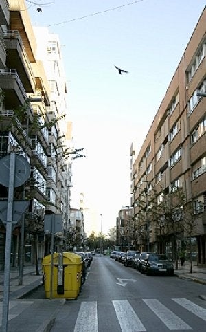 Calle Pintor Balaca, en el Ensanche de la ciudad. :: J. M. R. / AGM/