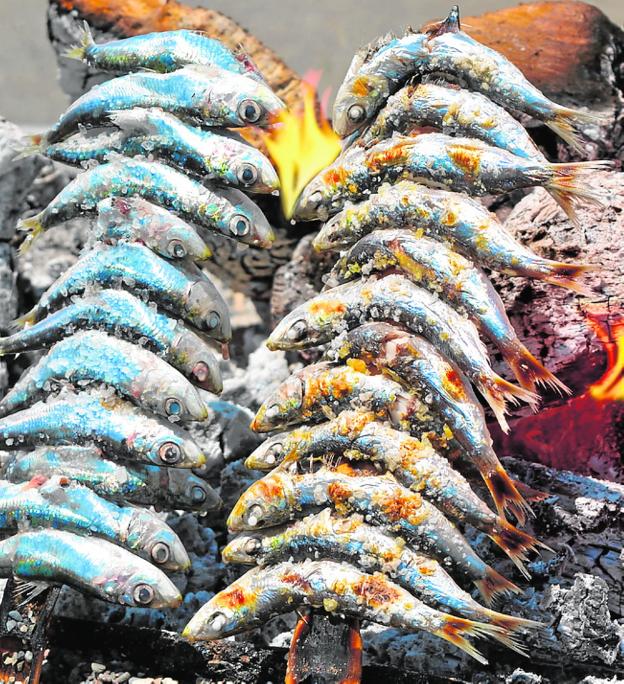De fresca sardina propiedades la