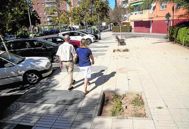 La plantación de decenas de árboles aliviará la falta de ejemplares en  calles y parques | La Verdad