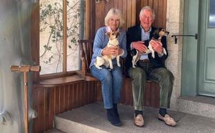 Carlos y Camila celebran su aniversario de boda con una fotografía junto a sus perros
