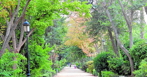 IU vuelve a pedir que Las Alamedas de Lorca sean BIC  La Verdad