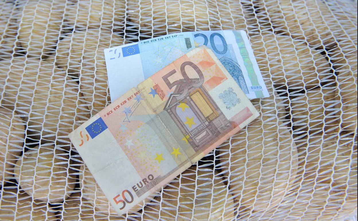 experiencia En detalle Comunismo Trucos para detectar los billetes falsos de euro | La Verdad