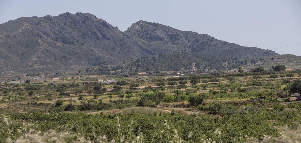 Aplazan la moratoria a los huertos solares para poder reubicar el previsto en Canteras - Vimarsana News