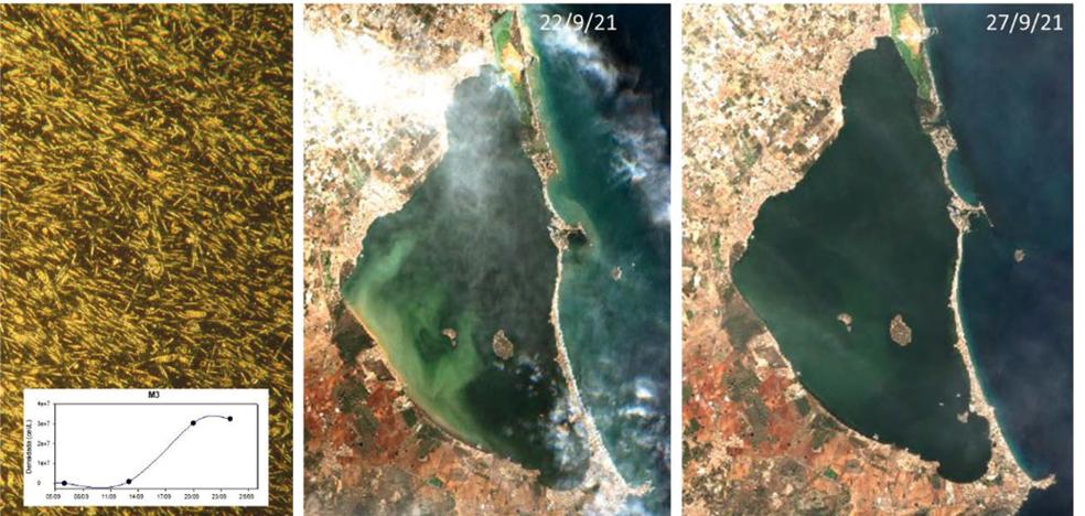 Crisis del Mar Menor | El Mar Menor ve agravado su estado «crítico» y se encuentra a punto de sufrir otra anoxia - Vimarsana News