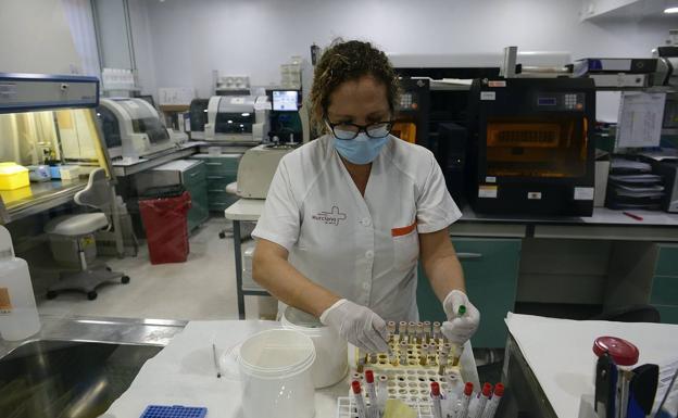 A laboratory technician analyzes PCR samples in La Arrixaca in a file image. 