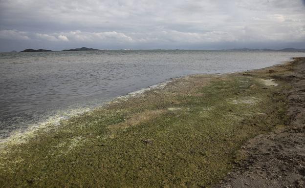 State of the Mar Menor in the Los Urrutias area, two weeks ago.