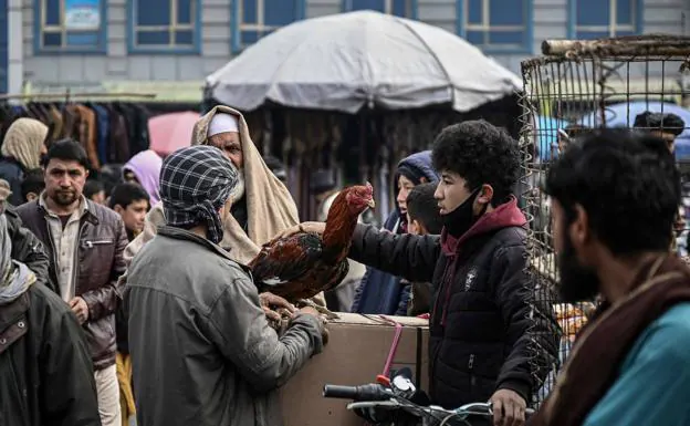 A young man sells a rooster in a market in Kabul, crowded with visitors this Sunday. 