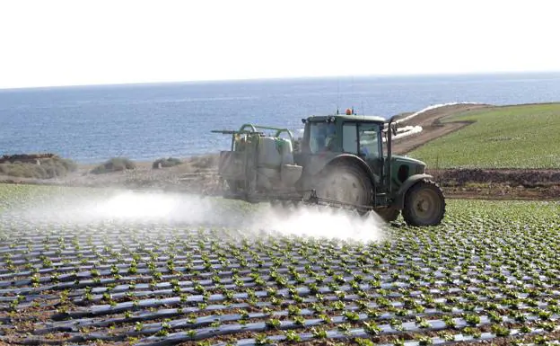 A tractor fumigates a lettuce plantation next to La Galera beach, in the Cope Marina (Águilas).  The photograph is from the archive.