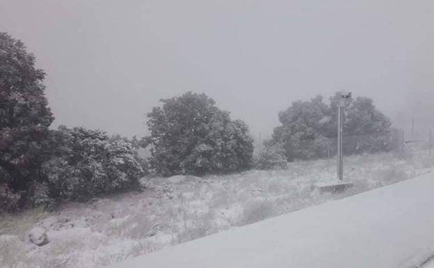 Snow in Sierra Espuña, this Friday morning.