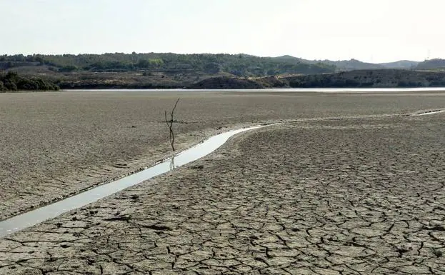 Archive image of the Santomera reservoir in July 2015, during a dry period. 