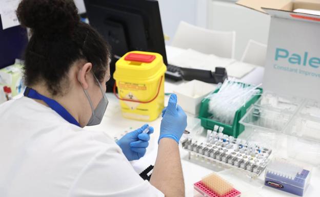A lab technician works with PCR tests, in a file photograph.