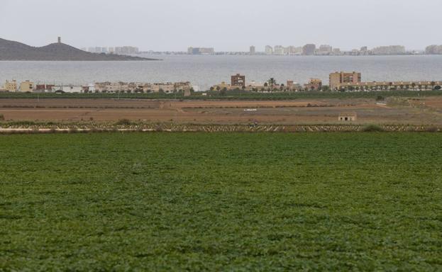 Irrigated crops next to the Mar Menor in a file image. 