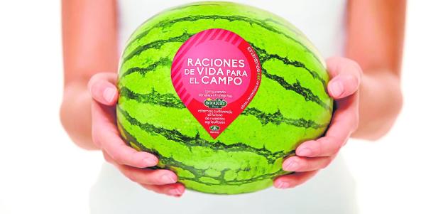 The attractiveness and possibilities of the Bouquet seedless watermelon are already enjoyed throughout Europe.