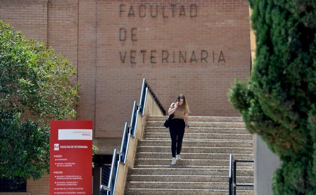 Faculty of Veterinary Medicine in a file image. 