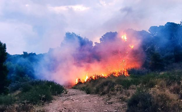 Image of the fire this Sunday, in the Barranco de Orfeo, in Cartagena.