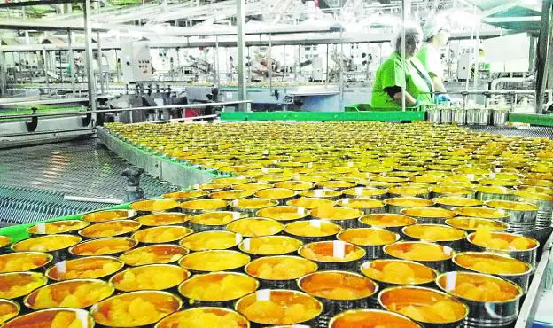   Mandarin production line for canning at the Cofrusa factory in Mula. 