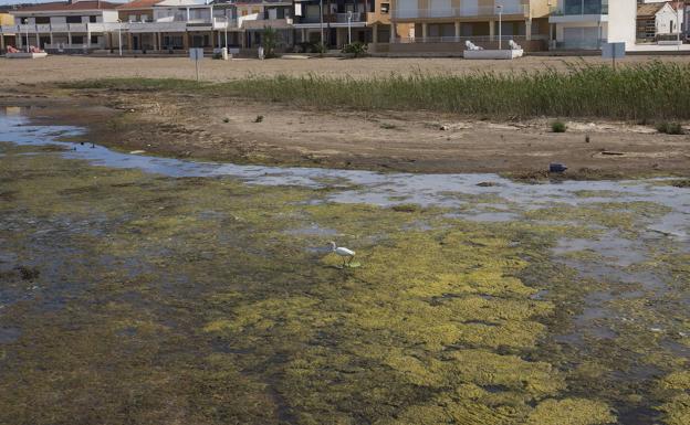 File image of pollution on a beach in the Mar Menor.