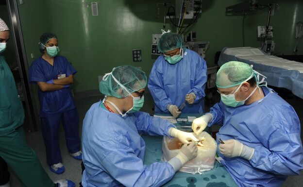 A team from La Arrixaca prepares to carry out a transplant.